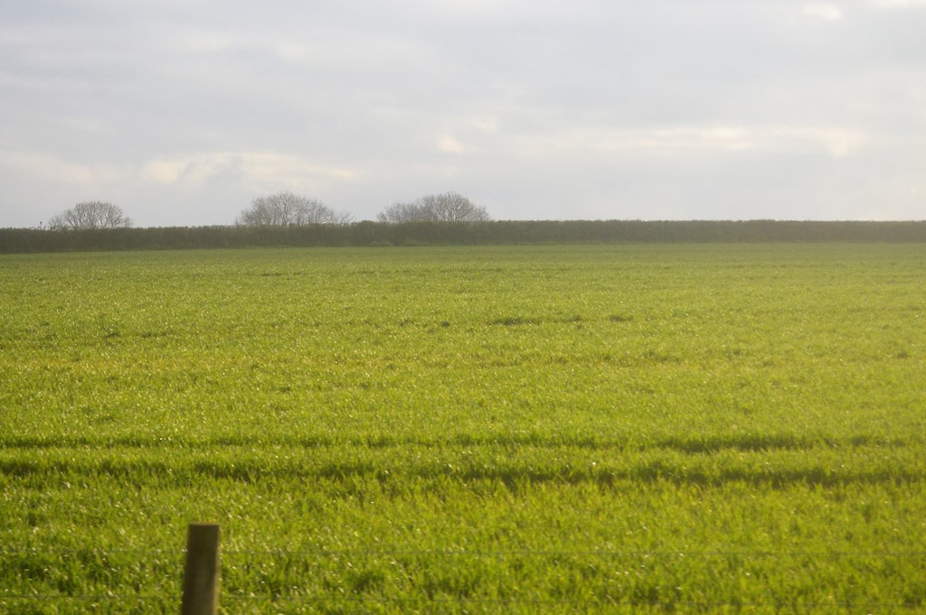 holiday cottages 3 dogs cornwall - Arable landscape