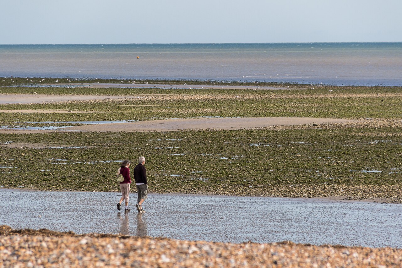 are dogs allowed on west wittering beach - Beach at West Kingston, West Sussex