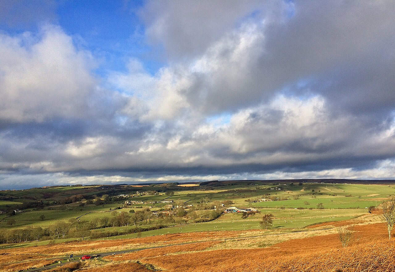 winter dog holiday uk - Bingley Countryside