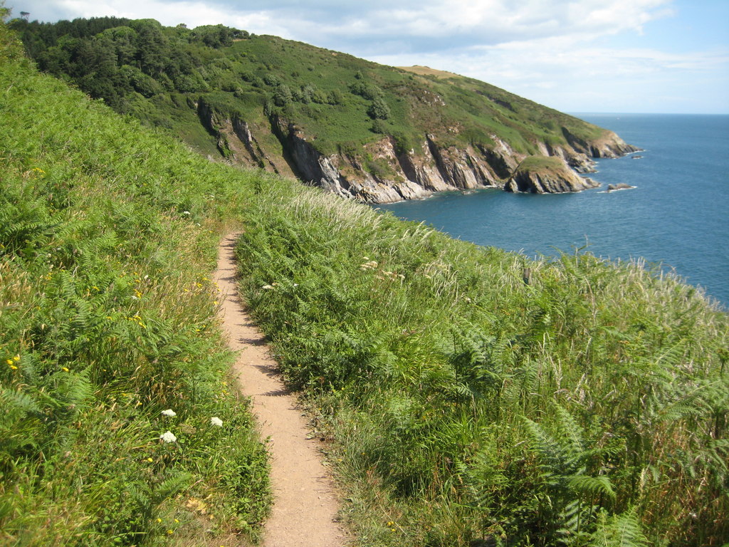dog-friendly beaches devon year round - Coast path above Pudcombe Cove-geograph-2470975-by-Philip-Halling