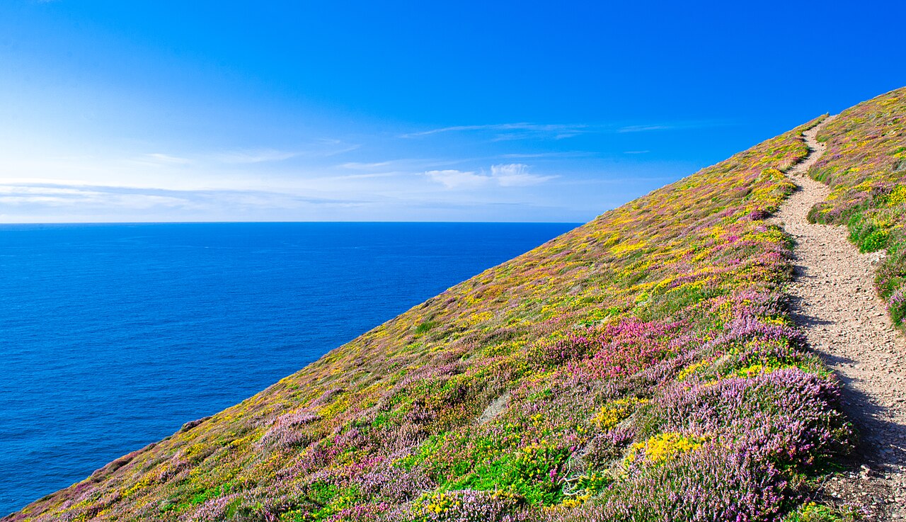 is perranporth beach dog friendly - Coast path near Towanroath shaft, St Agnes, Cornwall (14876932142)
