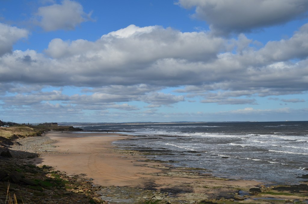 best dog-friendly beaches northumberland - Coastline near Cresswell