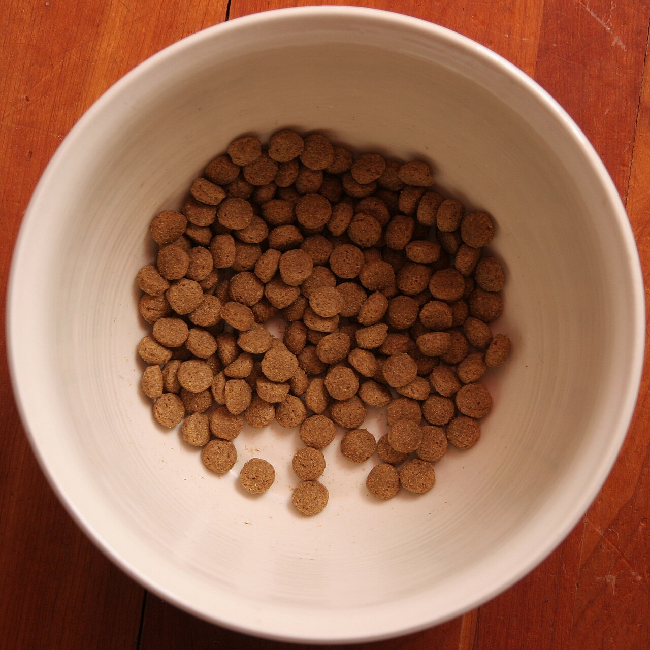 what to pack dog holiday - Dog food in a bowl