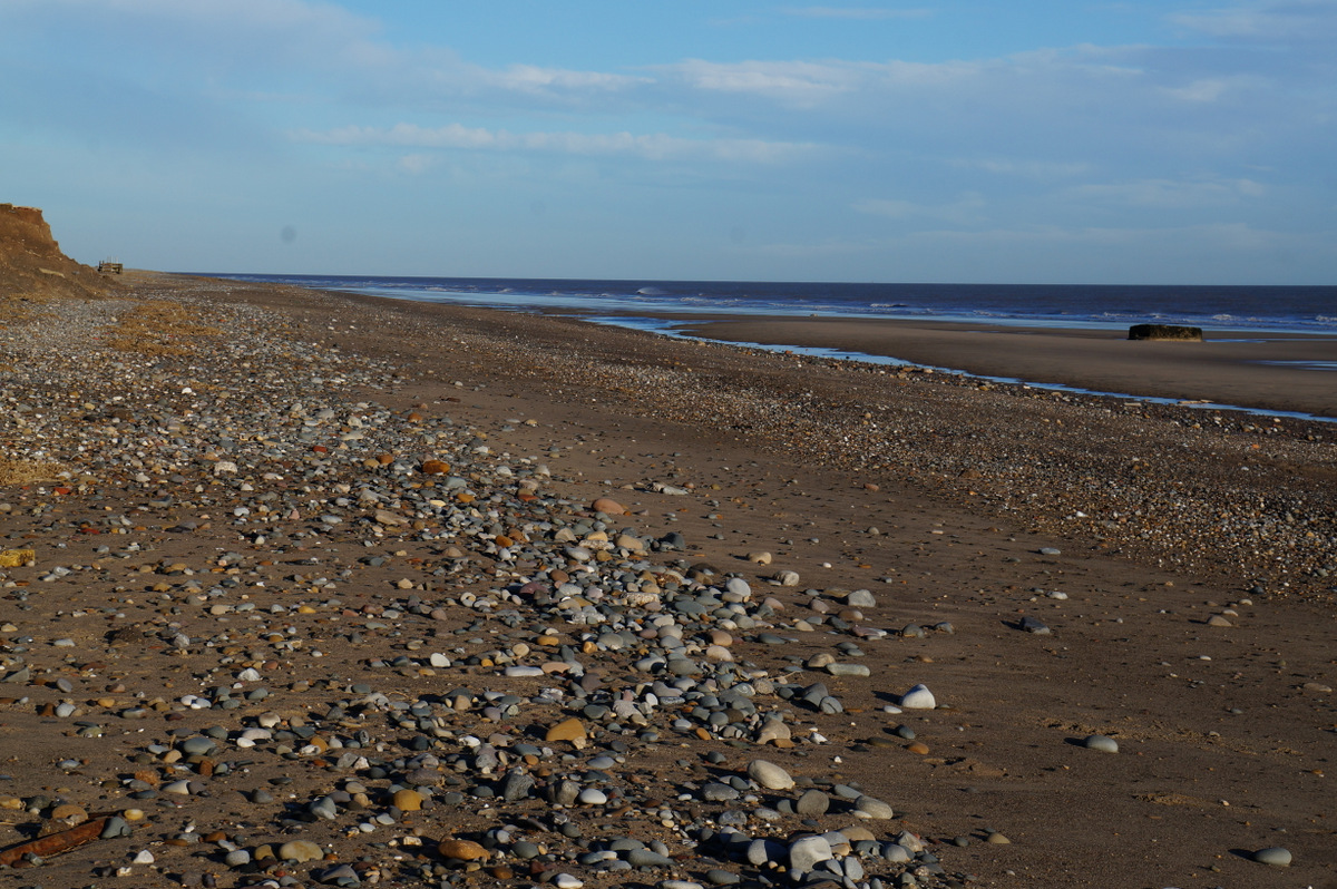 best dog-friendly beaches uk - Easington Beach, Holderness Coast, Yorkshire