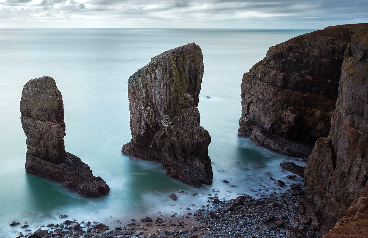 pet-friendly beach house pembrokeshire - Elegug Stacks - Flickr - atp-photos