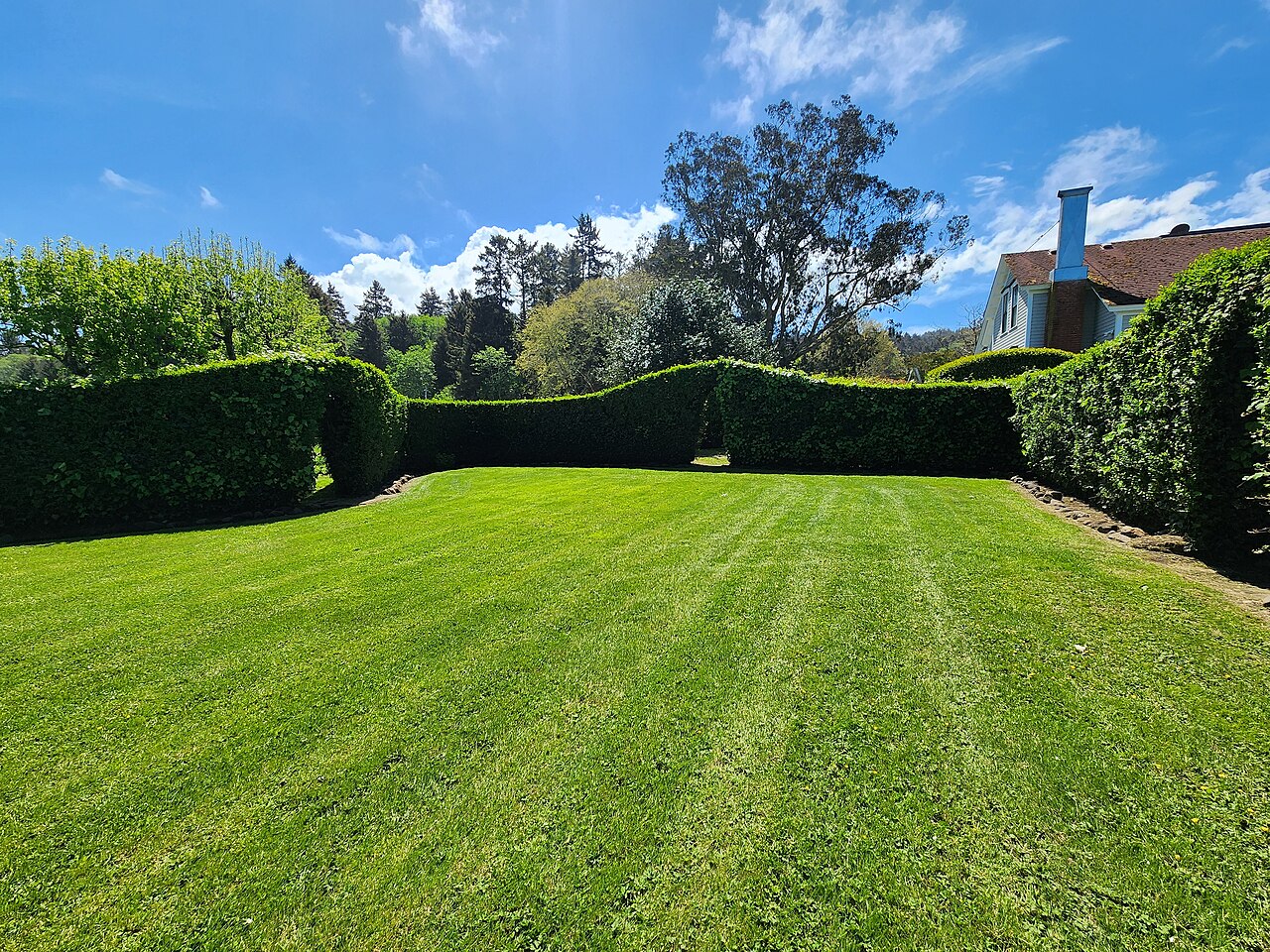 dog-friendly half term breaks uk - Fern cottage exterior garden