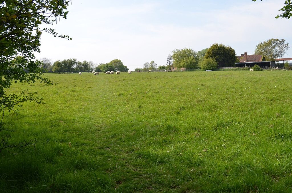pet-friendly cottages kent - High Weald Landscape Trail