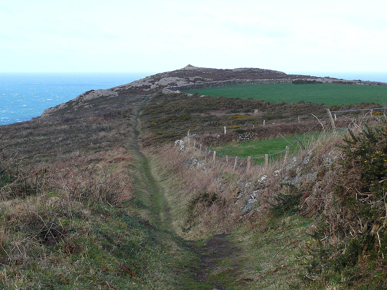pet-friendly beach house pembrokeshire - Llwybr Arfordir Sir Benfro - Pembrokeshire Coast Path