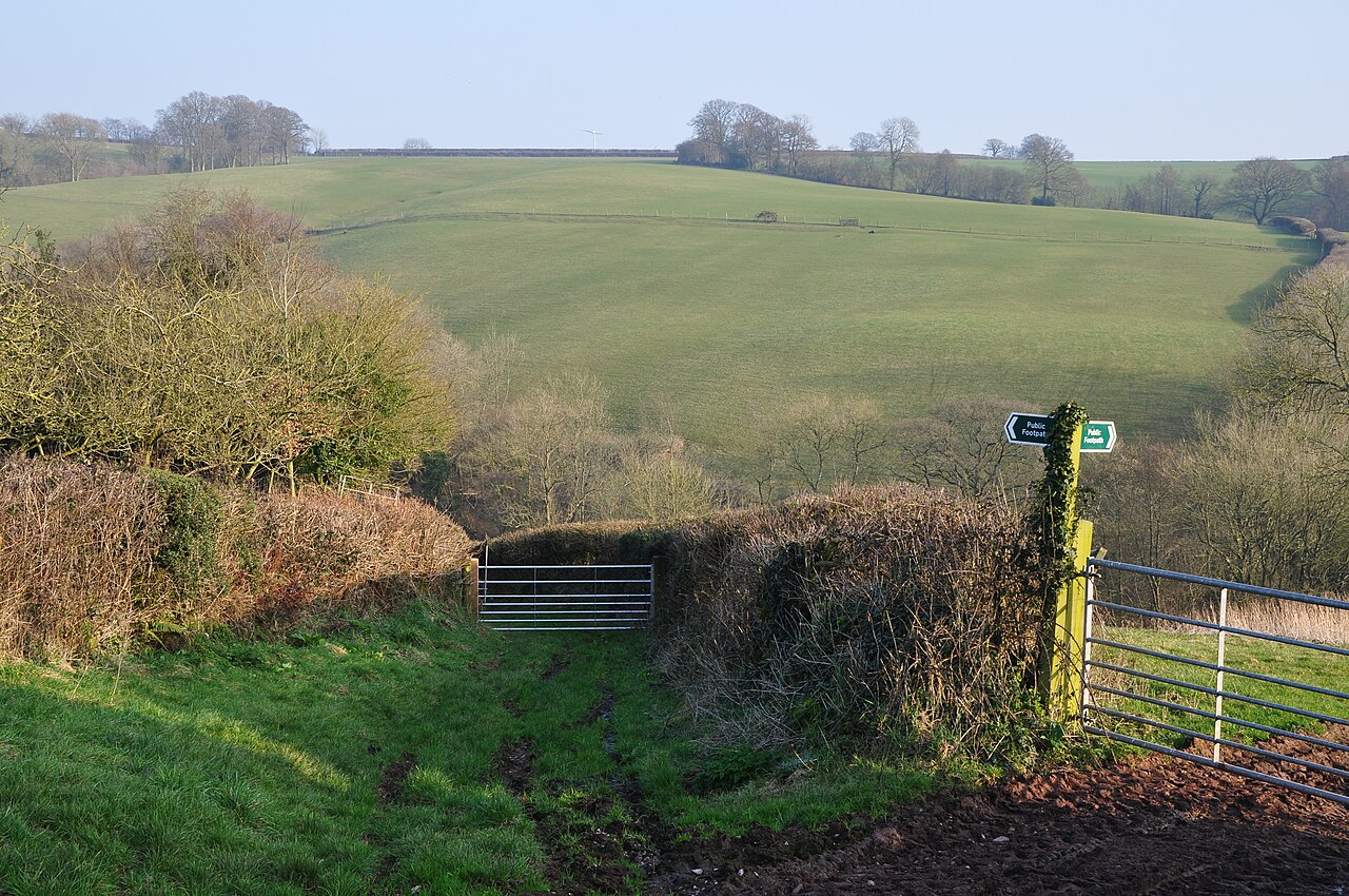 dog-friendly beaches devon year round - Mid Devon , Public Footpath ^ Countryside