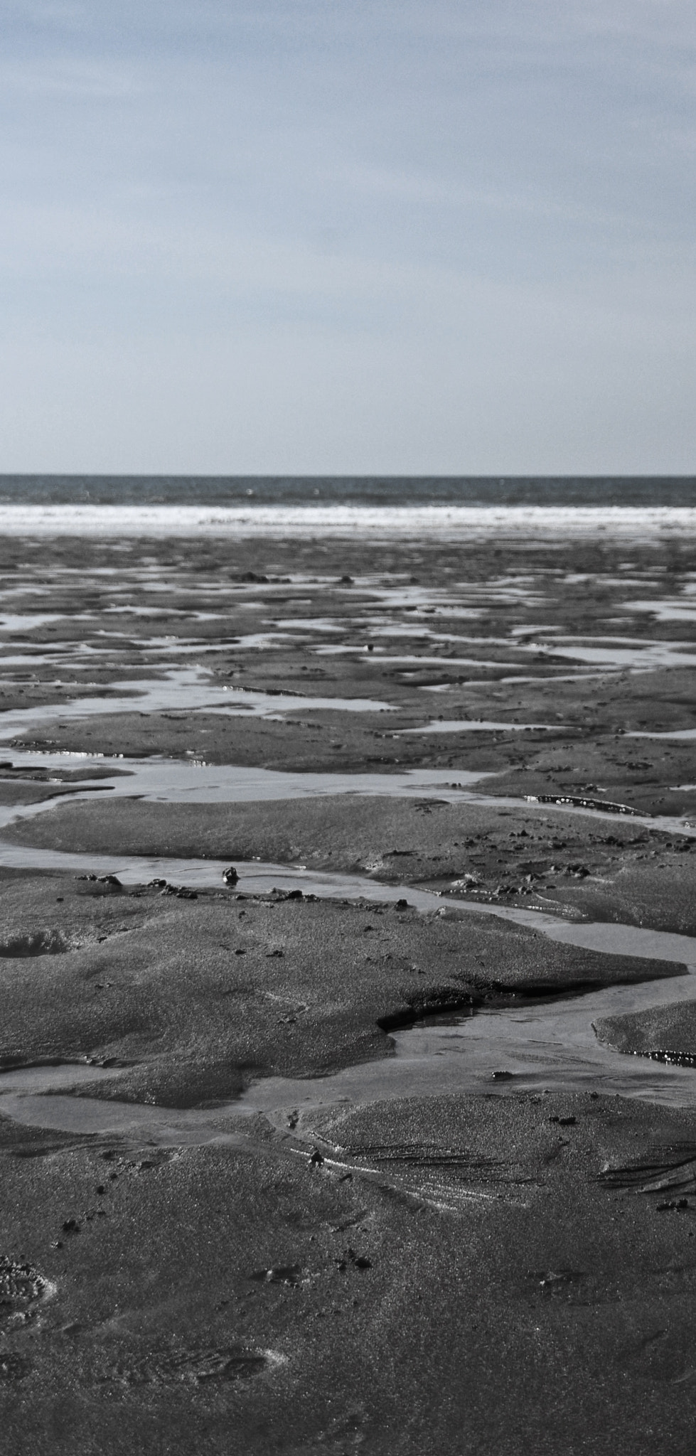 is sennen beach dog-friendly - Saltwater Serpentine (208978867)