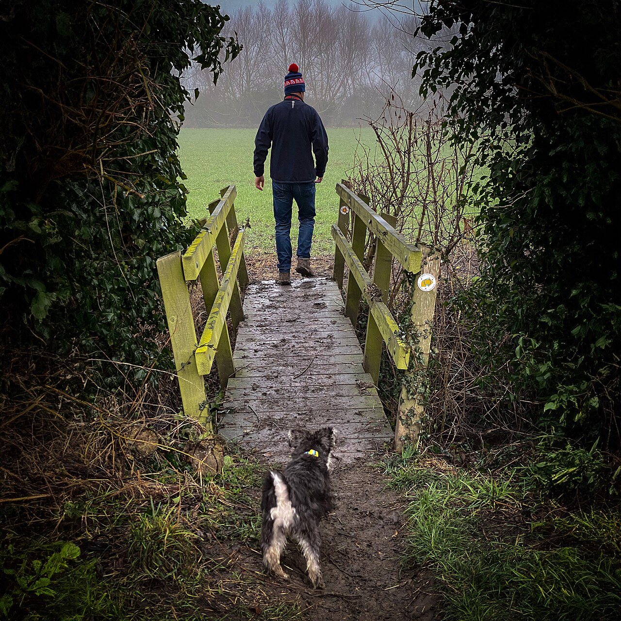 no breed restrictions holiday cottage - Schnauzer Crossing Bridge Near Milton Village