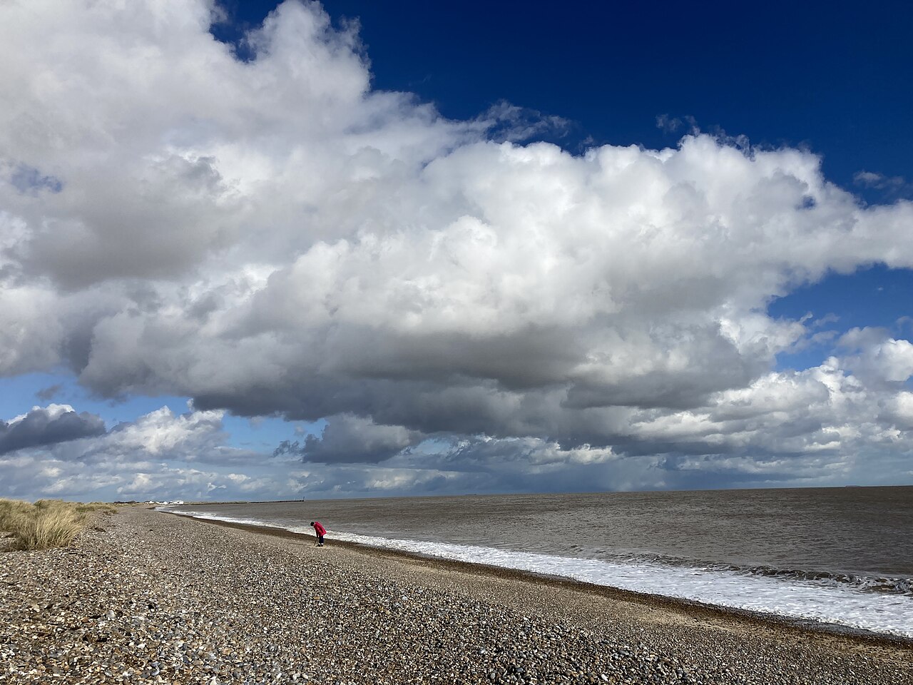 is southwold beach dog friendly - The beach at Walberswick, Suffolk