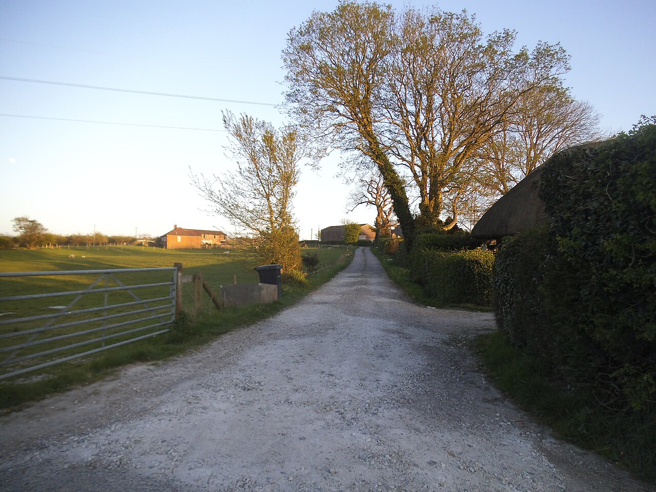 is camber sands dog-friendly - Track to Lea Farm, Rye Foreign