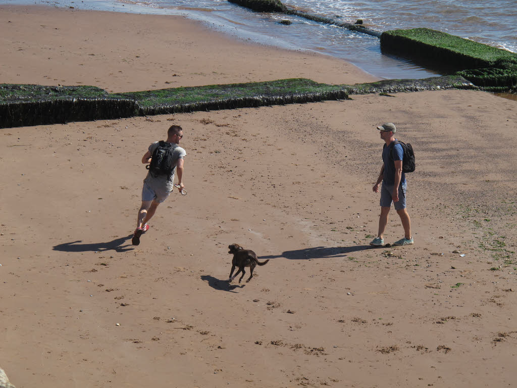 best dog-friendly beaches norfolk - Two men and a dog on the beach