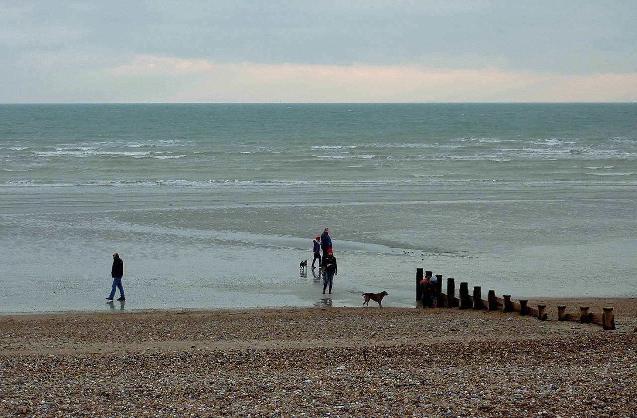 winter dog holiday uk - Winter dog walking on Worthing Beach, West Sussex