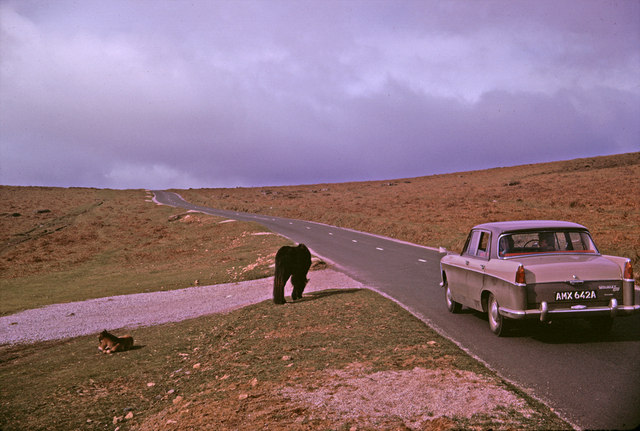 off-lead dog walks devon - B3357 Near Two Bridges, Dartmoor, Devon taken 1964