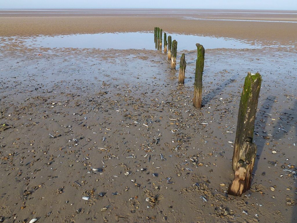 are dogs allowed on brancaster beach - Brancaster beach in Norfolk