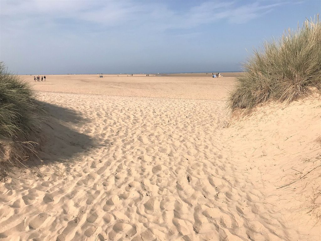 is holkham beach dog friendly - Gap in the sand dunes on Holkham beach