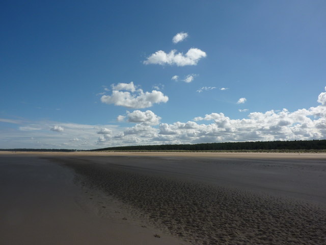 is holkham beach dog friendly - Holkham Beach