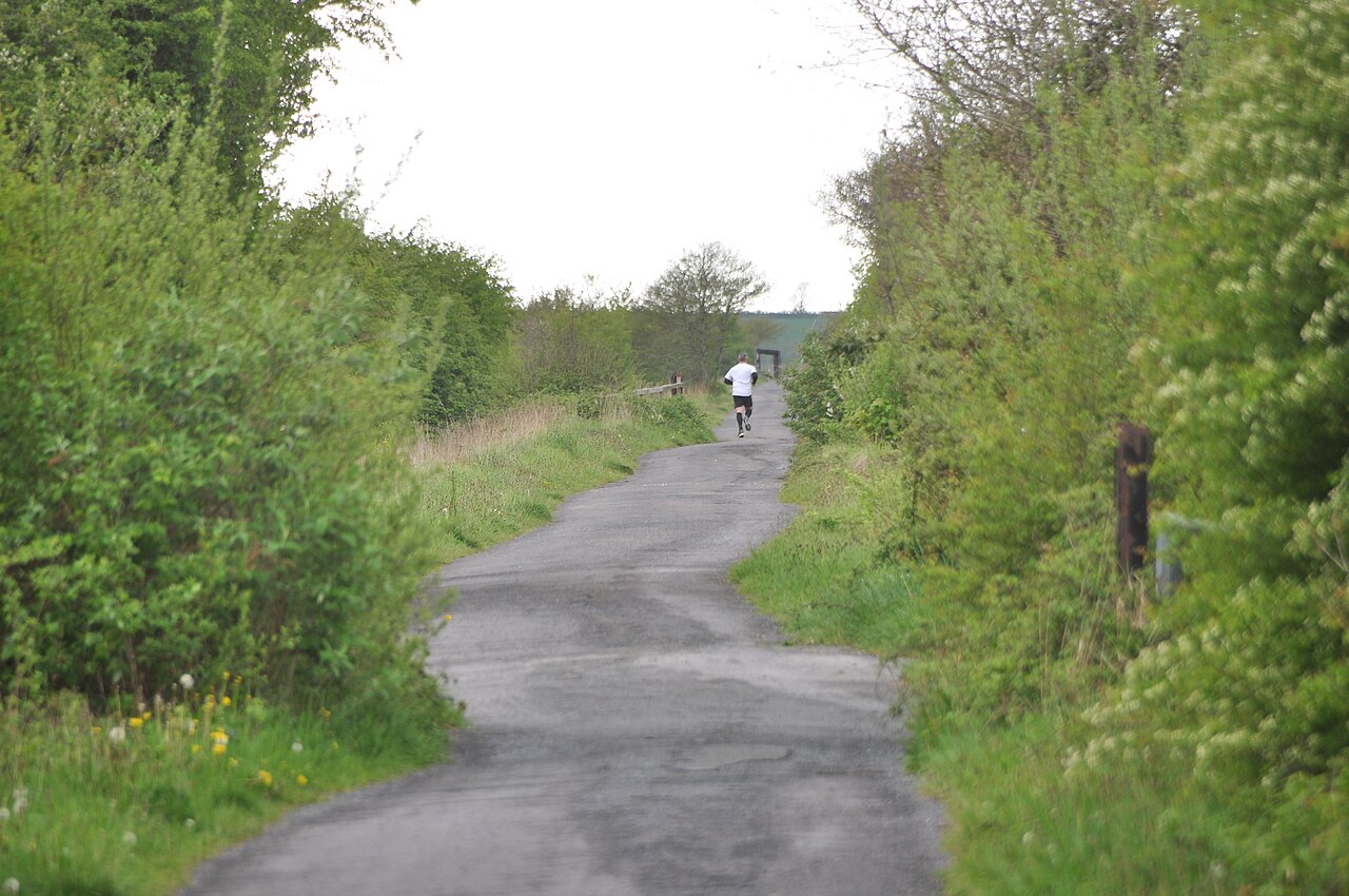 off-lead dog walks devon - North Devon , The Tarka Trail