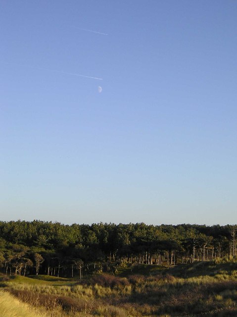 are dogs allowed on formby beach - Pine Forest, Formby