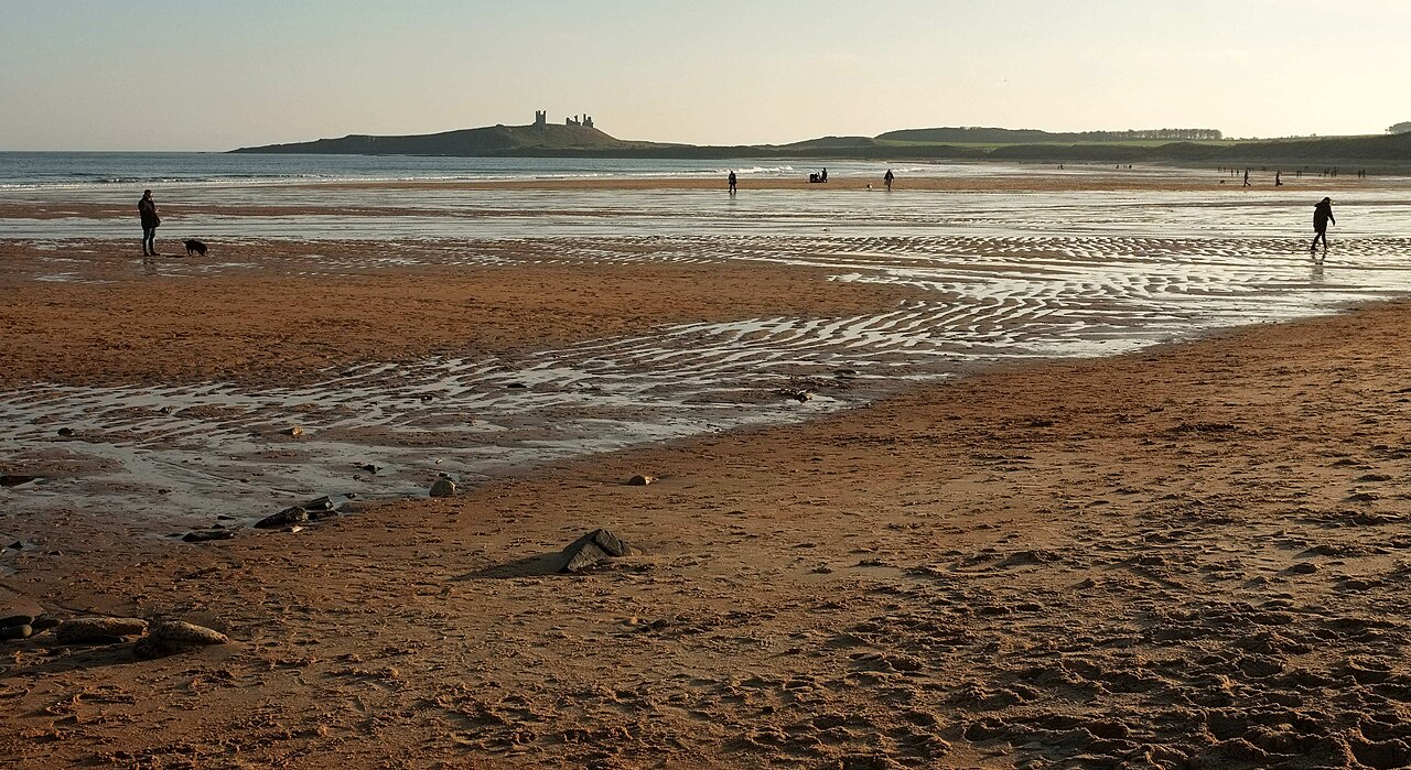 off-lead dog walks northumberland - Beach, Embleton Bay