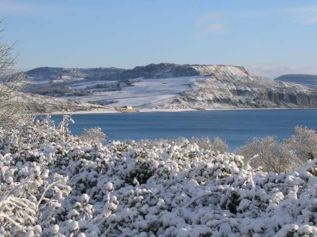 off-lead dog walks dorset - Charmouth cliffs in winter