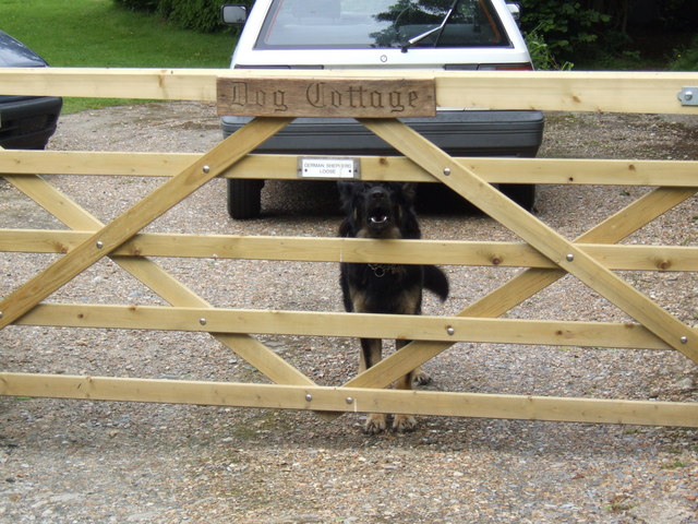 holiday cottages that allow 4 dogs - Dog Cottage plus dog