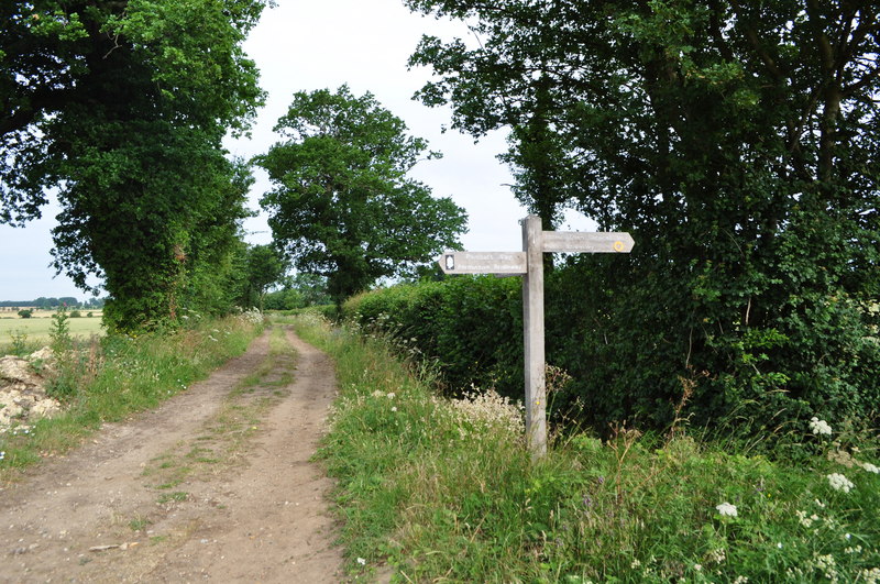 off-lead dog walks norfolk - Peddars Way Long Distance Footpath