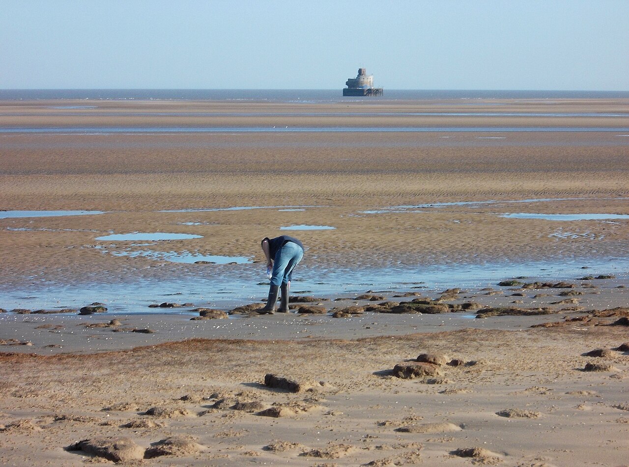 dog friendly beaches lincolnshire - View towards Haile Sand Fort