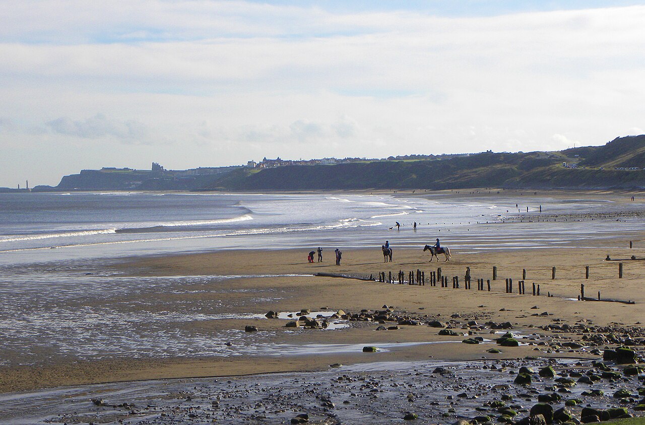 dog friendly beaches yorkshire - Sandsend beach