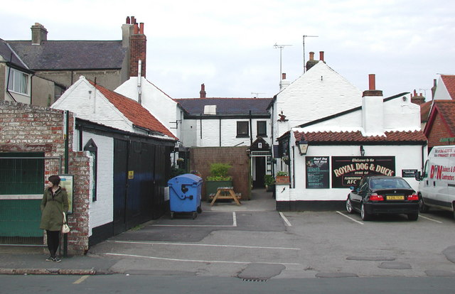 taking your dog on holiday for the first time - The Royal Dog and Duck, Flamborough