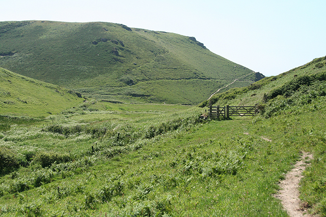 can you take dogs on the south west coast path - Tintagel, link path to Backways Cove